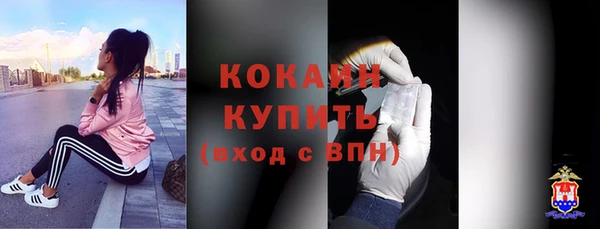 соль ск Абаза