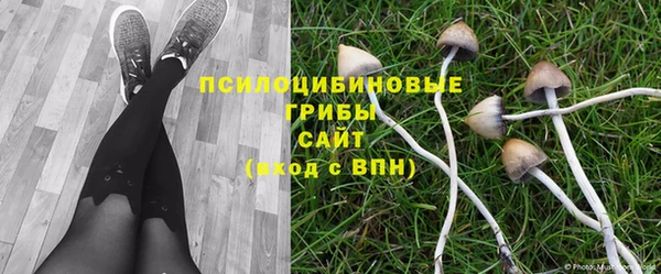 крисы Абдулино