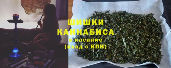 сатива Абинск