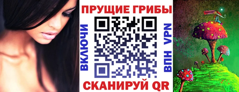 Галлюциногенные грибы MAGIC MUSHROOMS  Камень-на-Оби 